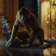 Don’t mess with a golden monkey.